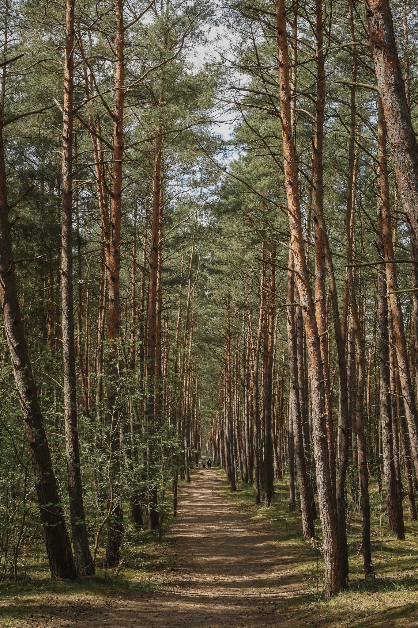 Polityka Prywatności